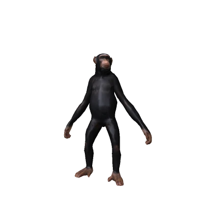Standing Monkey 🐒 Funny Meme Troll Animal