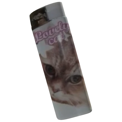 Lovely Cat Kitty Lighter