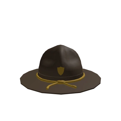 Sheriff Deputy Hat Brown Police Trooper Cop Scala