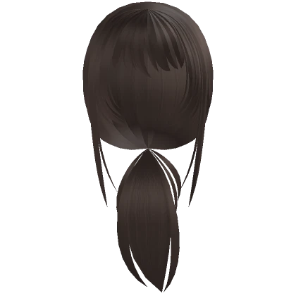 † adorable low ponytail brown