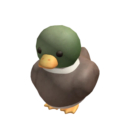 Cute Green Duck Costume