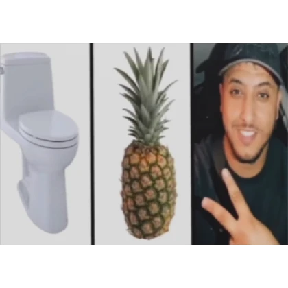 toilet ananas nasdas