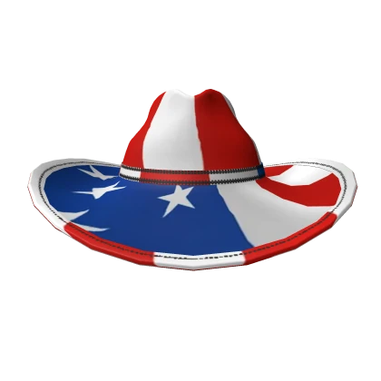 USA Cowboy Hat