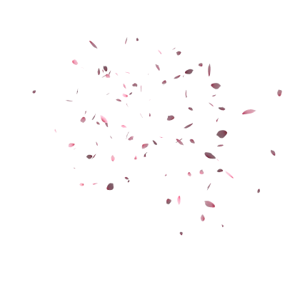 🌸Sakura Blossom Aura🌸
