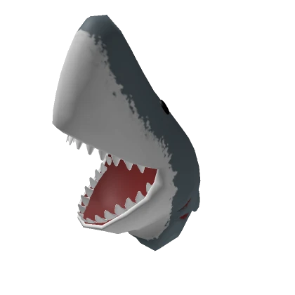 Great White Shark Head - Shark Week 2024