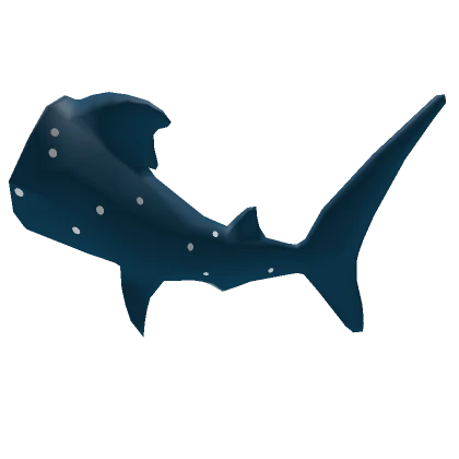 Whale Shark Tail - Shark Week 2024