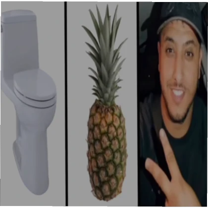 toilet ananas nasdas pfp