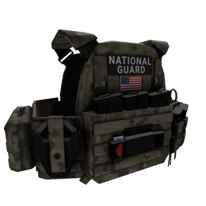 Speedwell National Guard Plate Carrier (Multicamo)