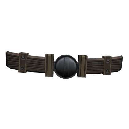 Identity Thief's City Belt