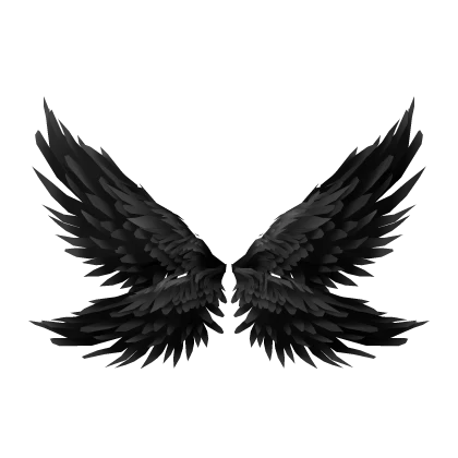 Black Angel Wings