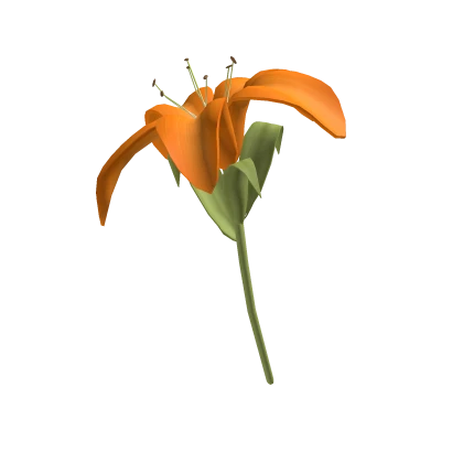  ♡ Large cute orange lily flower 🌸