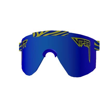 Blue Polarized Sunglasses  (⏳)