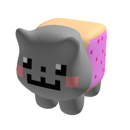 Nyan Cat Suit