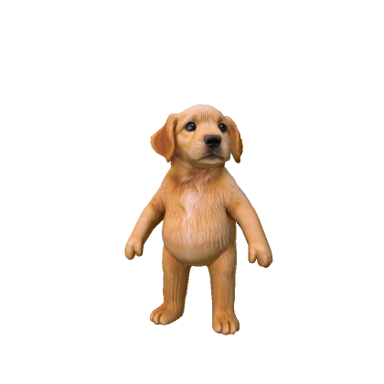 Chubby retriever dog