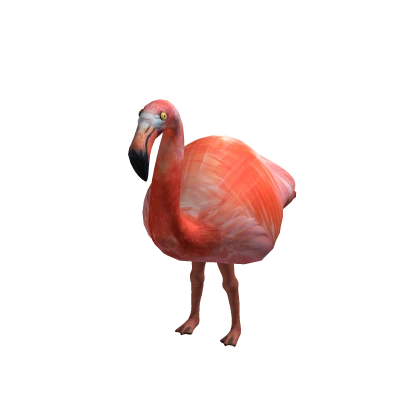 Flamingo Bird Suit