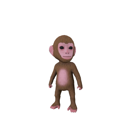 Baby Monkey