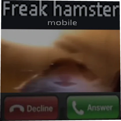 [⌛] freaky hamster meme box