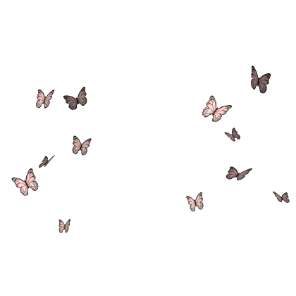 Pink Butterfly Aura