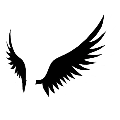 ✅ Black White Wings