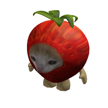 Strawberry Fruit Cat Suit