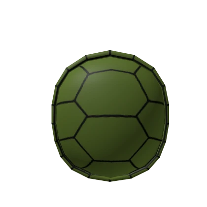 03 Turtle Shell