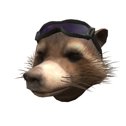 Rocket Racoon