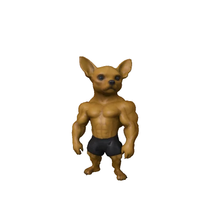 Muscle Buff Chihuahua Dog 🐶