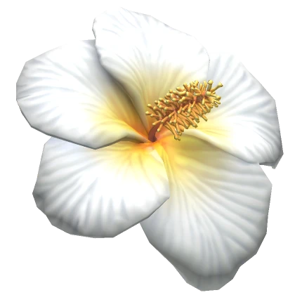 Tropical Hibiscus white Flower Hairclip