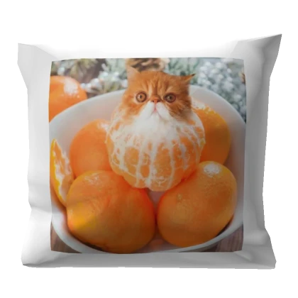 Orange Cat Pillow