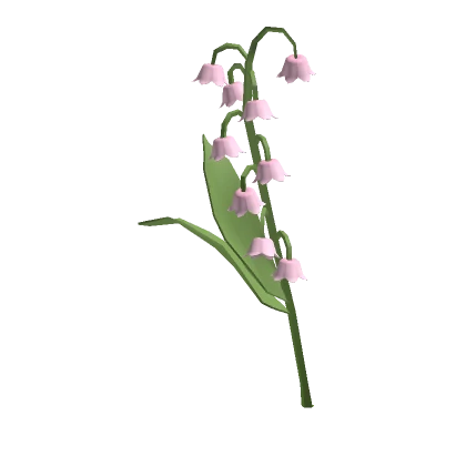 ♡ Large Pink Lily of the Valley Bell Flower 🥀