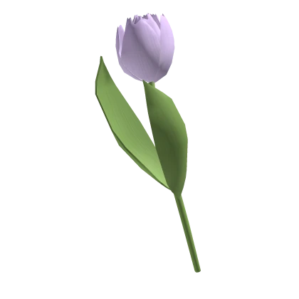 ♡ Large Cottagecore Purple Lilac Tulip 🌷