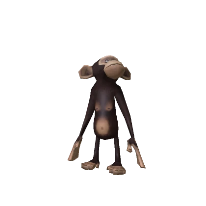 Monkey Madagascar R15