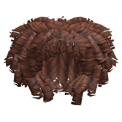 Athena's voluminous curly afro in brown mesh