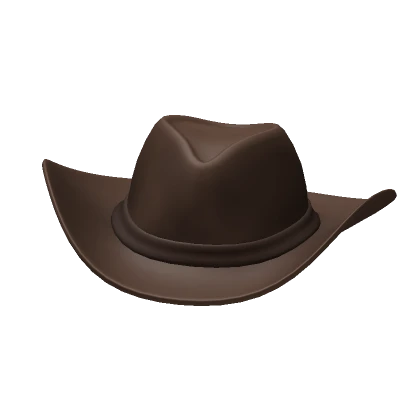 Cowboy Hat