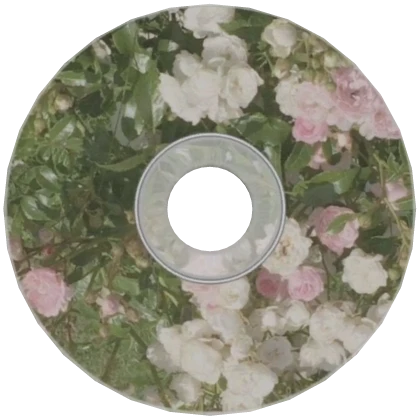 Fairy Cottage Core Sage Green CD