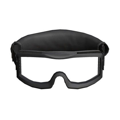 tactical goggles (transparent)