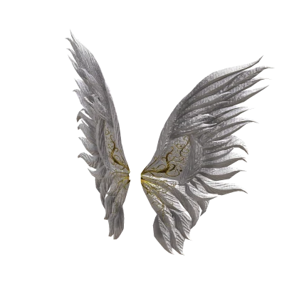 Model  Wings