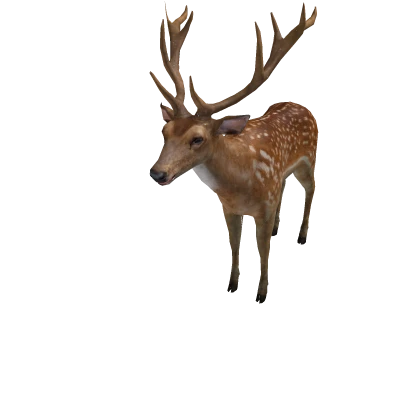 Shikanoko Nokotan Deer Pet