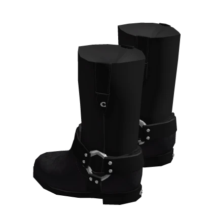 Coach Tara Biker Boot