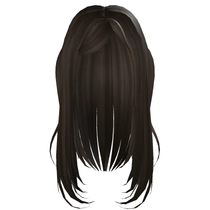 Gyaru Hime Half Up Half Down Pigtails  dark brown