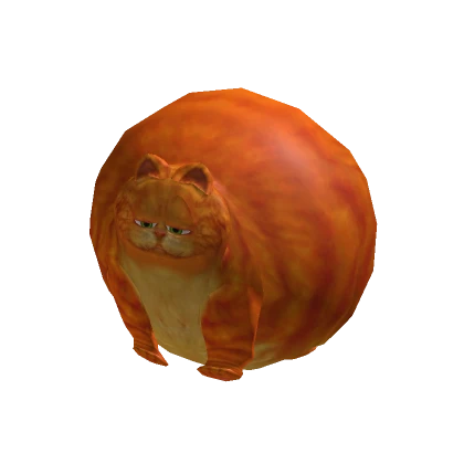 BIG Orange Cat