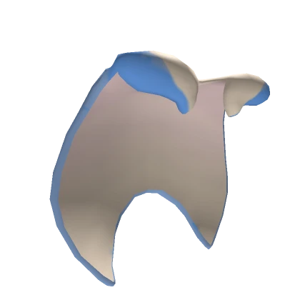 Manta Ray Cape