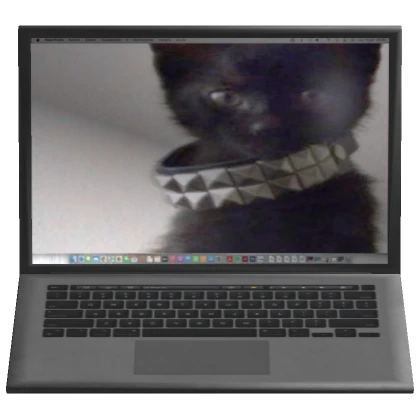 2000s Y2k Kitty Laptop