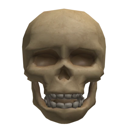 Headless Skull