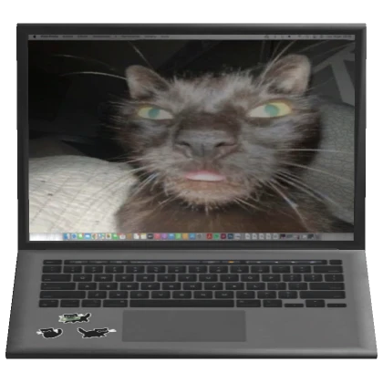 2000s Y2k Kitty Laptop