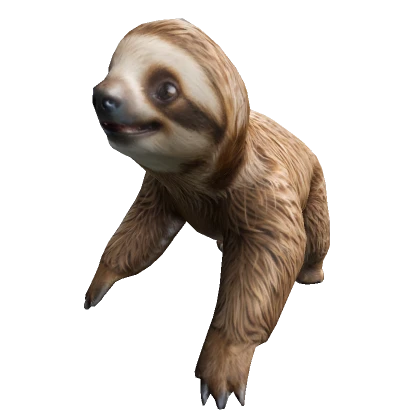 Happiest Sloth