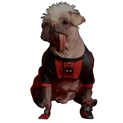 Deadpool Dog Shoulder Pet