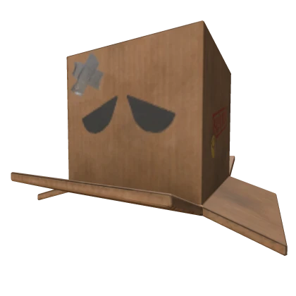 Bullied Sad Cardboard Head Box 