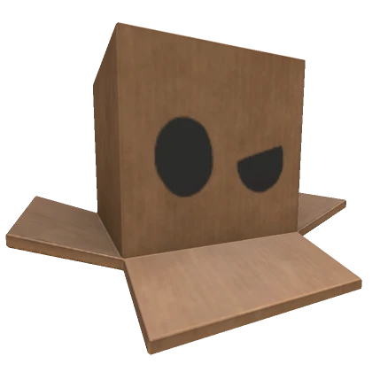 What??? Cardboard Head Box 