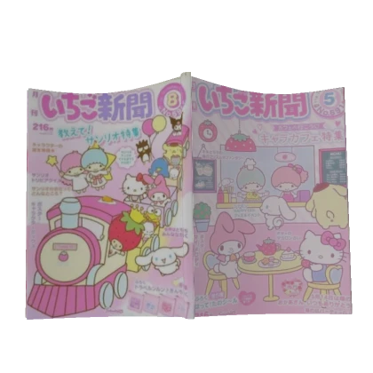 ★ Sanrio 2000s Magazine book